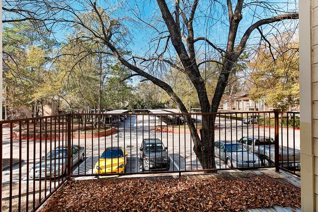 a view of a yard with a trees