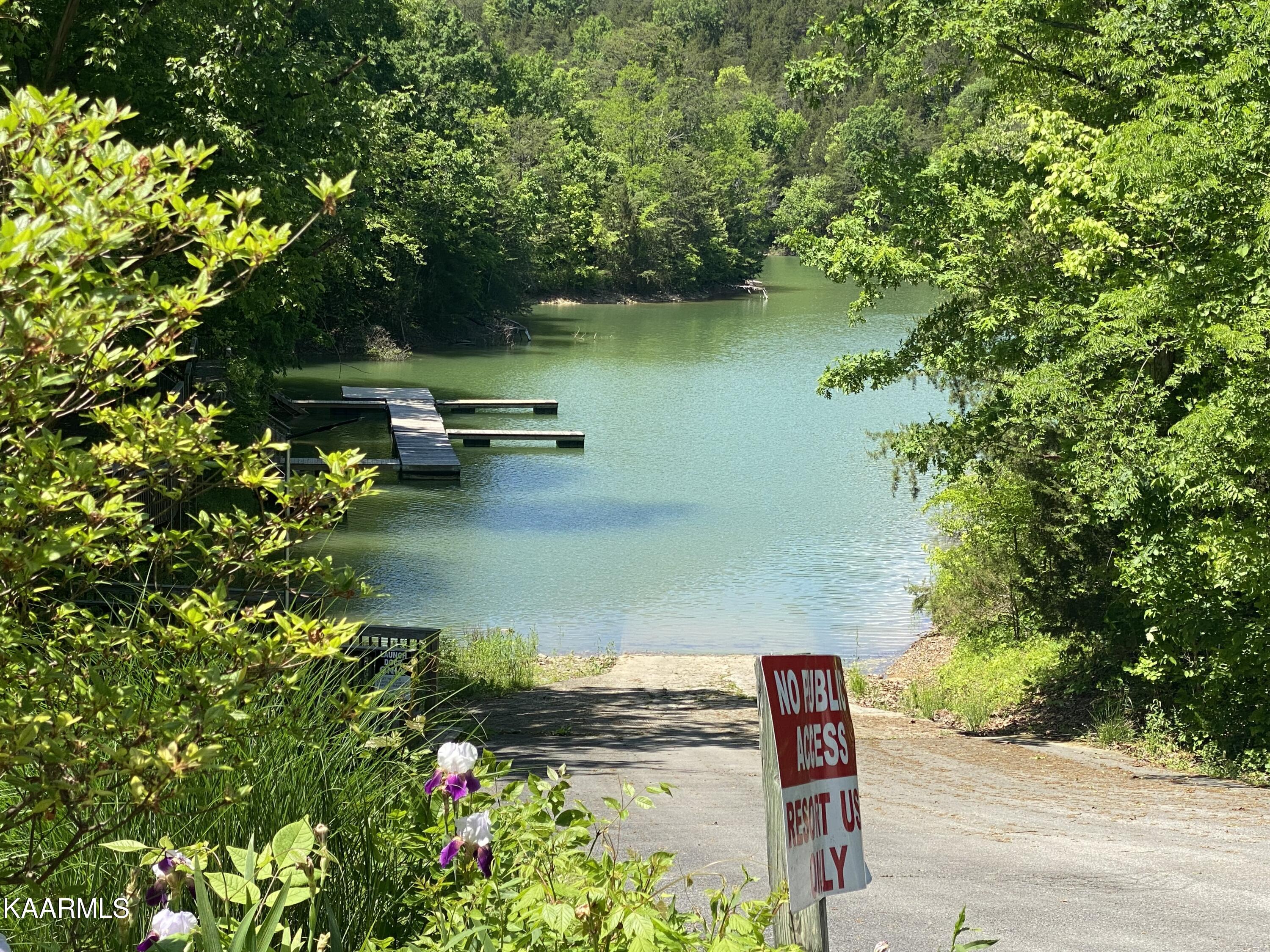 1008 Rick Way Sevierville, TN 37876 - Photo 49 of 53 IMG_1209