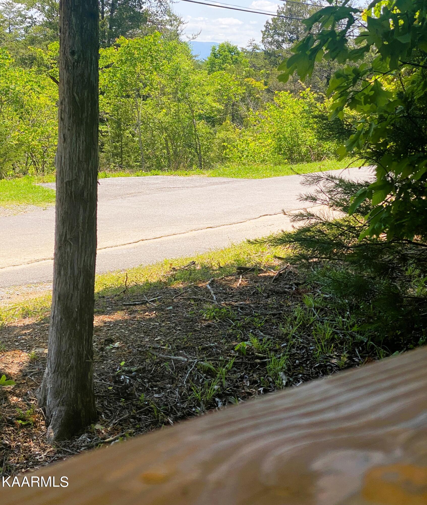 1008 Rick Way Sevierville, TN 37876 - Photo 7 of 53 IMG_1154