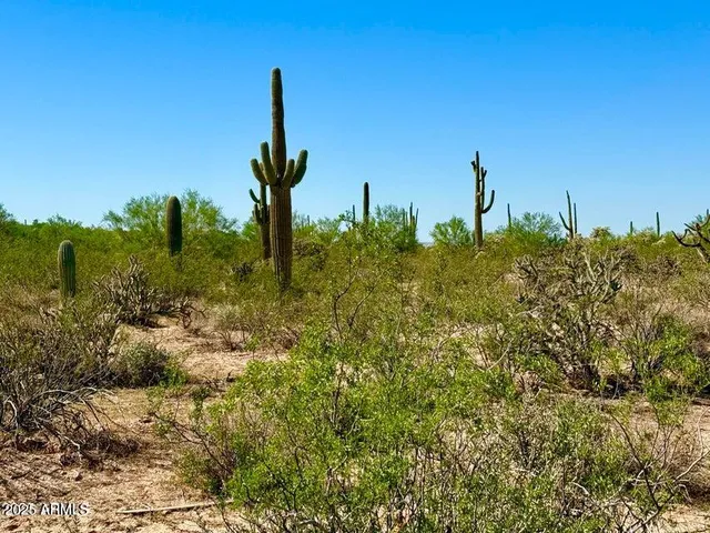 a view of a lake with a building in the background