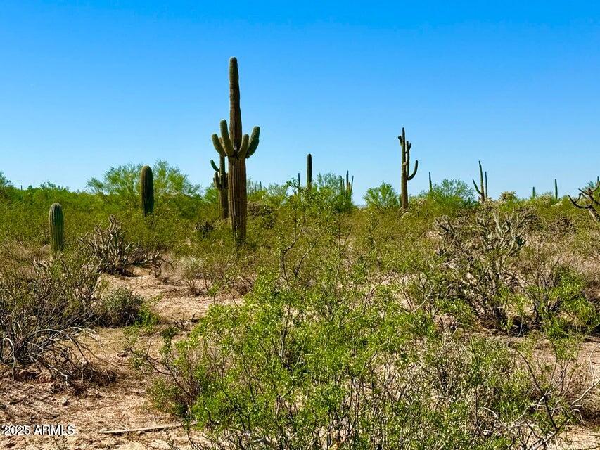 0 North Hohokam Road Florence, AZ 85132 - Photo 1 of 24 a view of a lake with a building in the background
