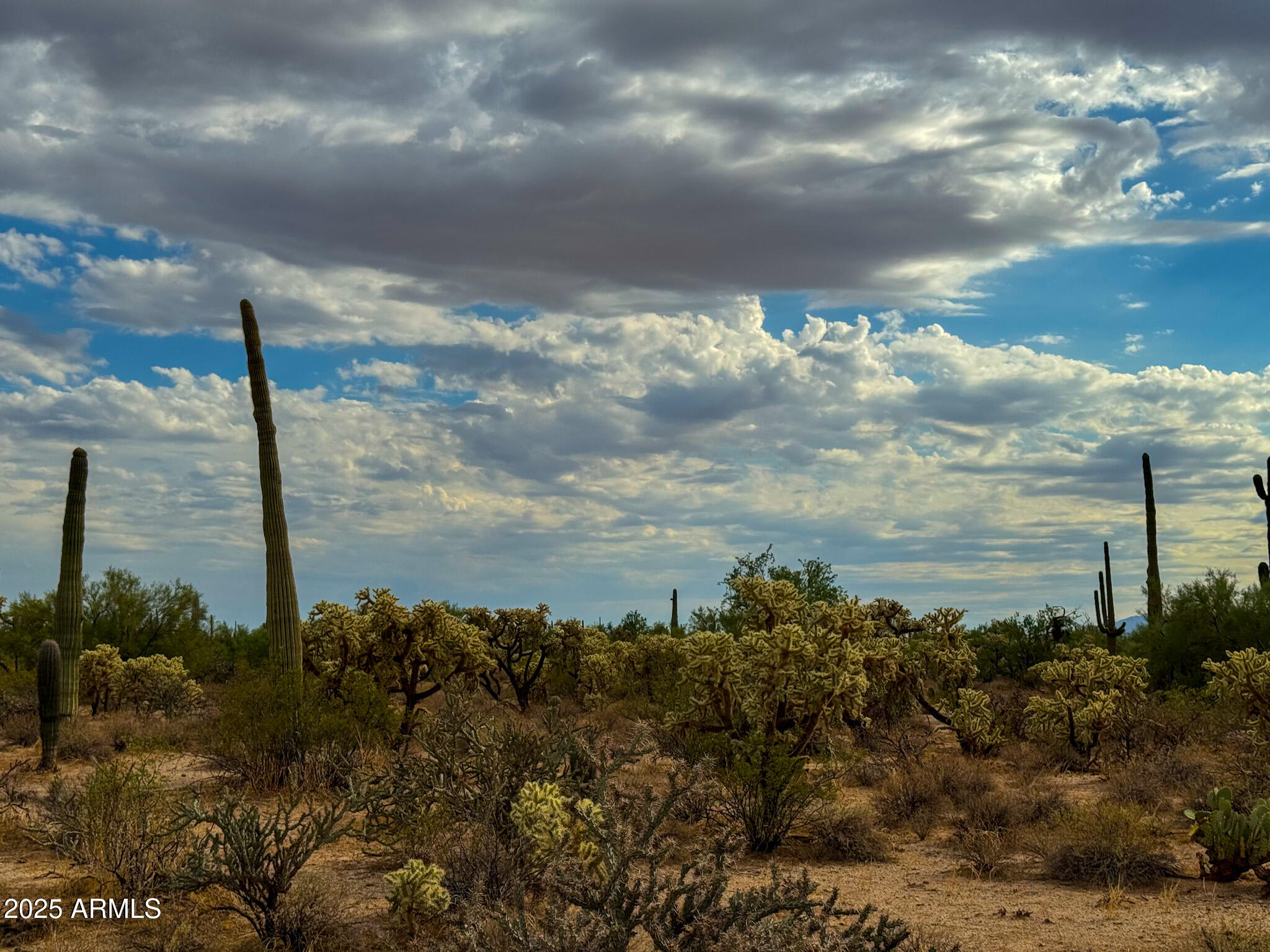 0 North Hohokam Road Florence, AZ 85132 - Photo 11 of 24 a view of a lake and mountain in the back