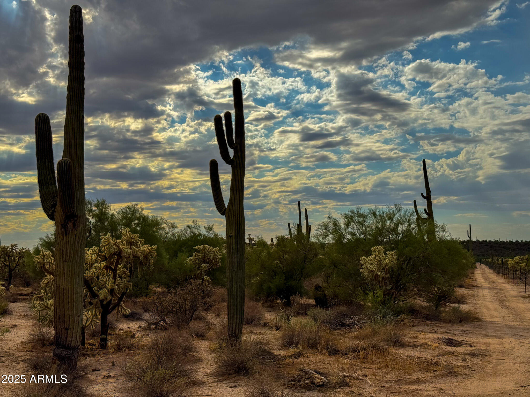 0 North Hohokam Road Florence, AZ 85132 - Photo 14 of 24 a view of a yard with a tree