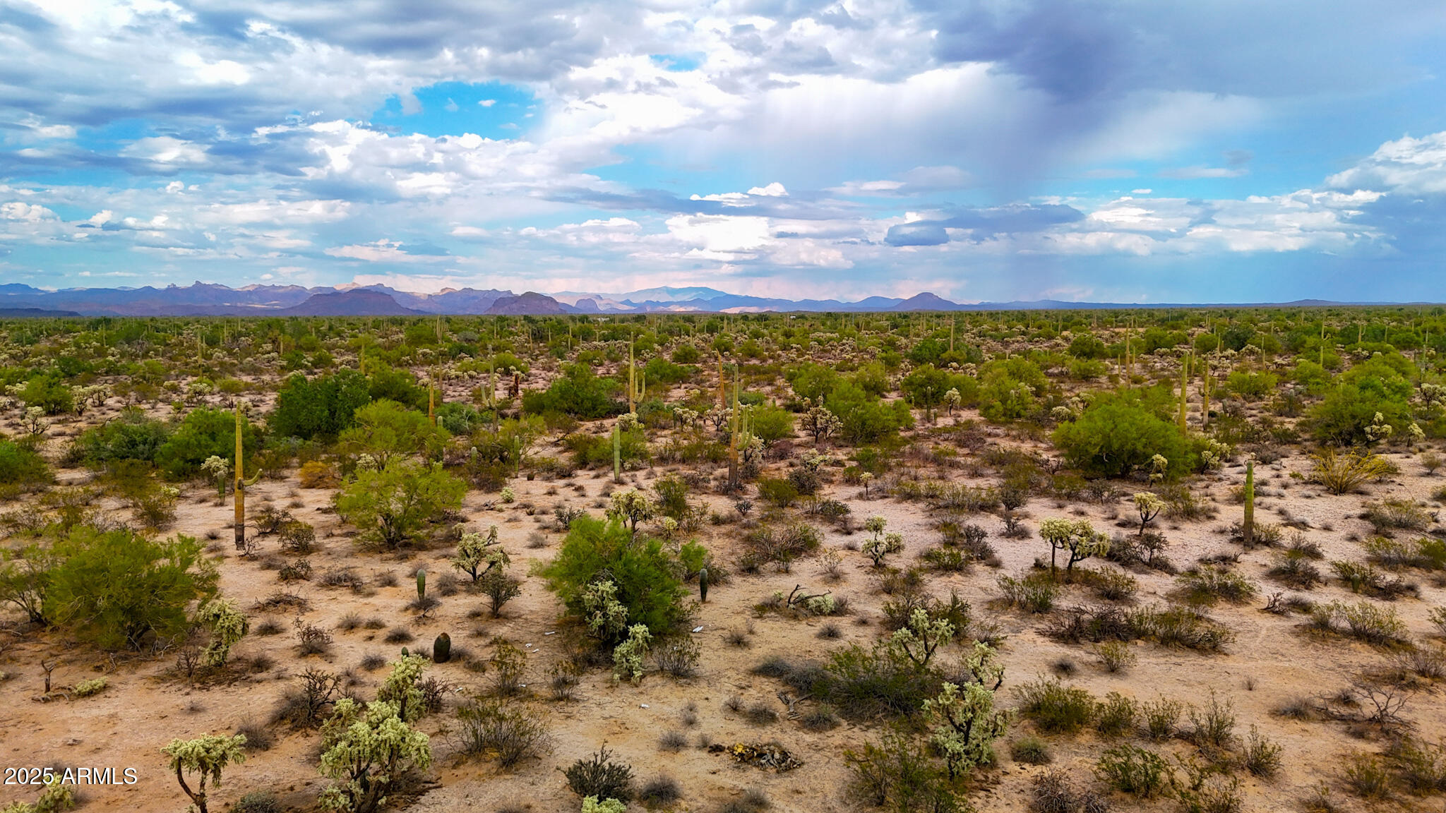 0 North Hohokam Road Florence, AZ 85132 - Photo 22 of 24 a view of a bunch of trees