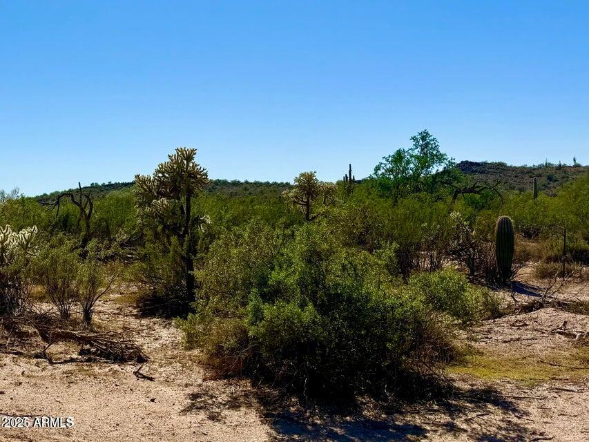 0 North Hohokam Road Florence, AZ 85132 - Photo 3 of 24 a view of a yard with a tree