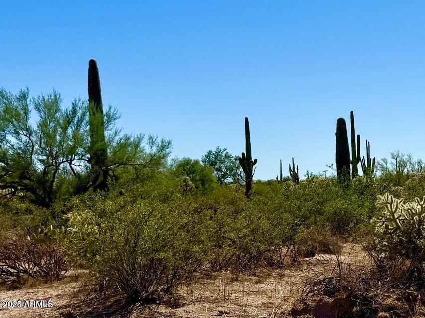 0 North Hohokam Road Florence, AZ 85132 - Photo 5 of 24 a view of a field with a tree in the background