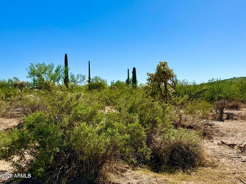 0 North Hohokam Road Florence, AZ 85132 - Photo 7 of 24 a view of a yard