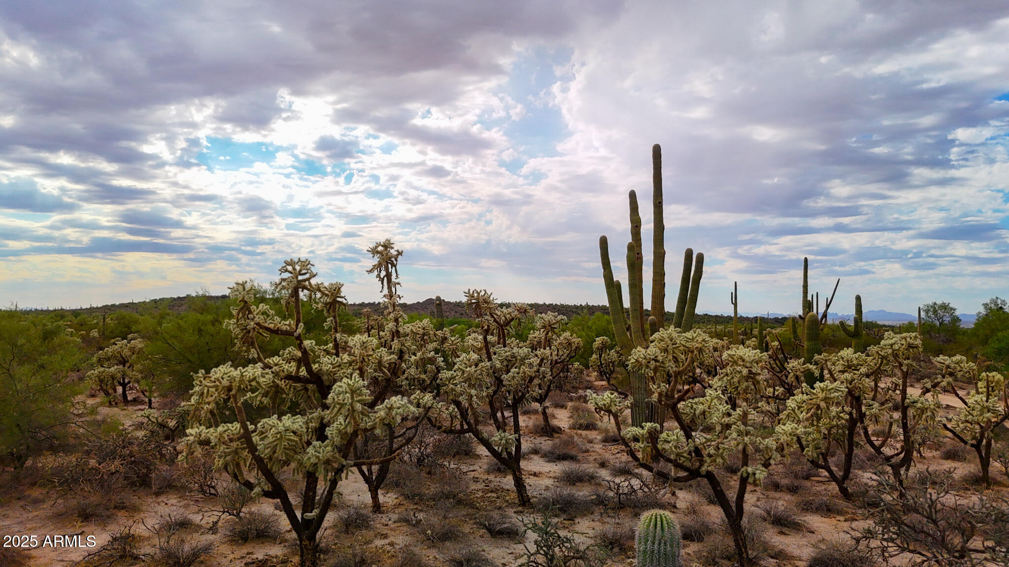 0 North Hohokam Road Florence, AZ 85132 - Photo 8 of 24 a view of a city with lots of trees