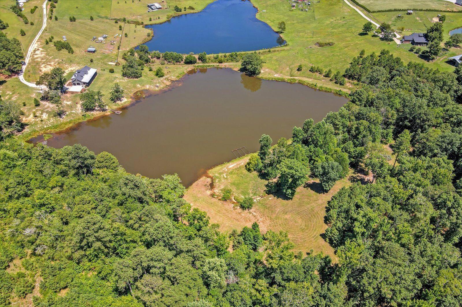 3030 Ray Owens Road Appling, GA 30802 - Photo 3 of 56 drone3 (4)