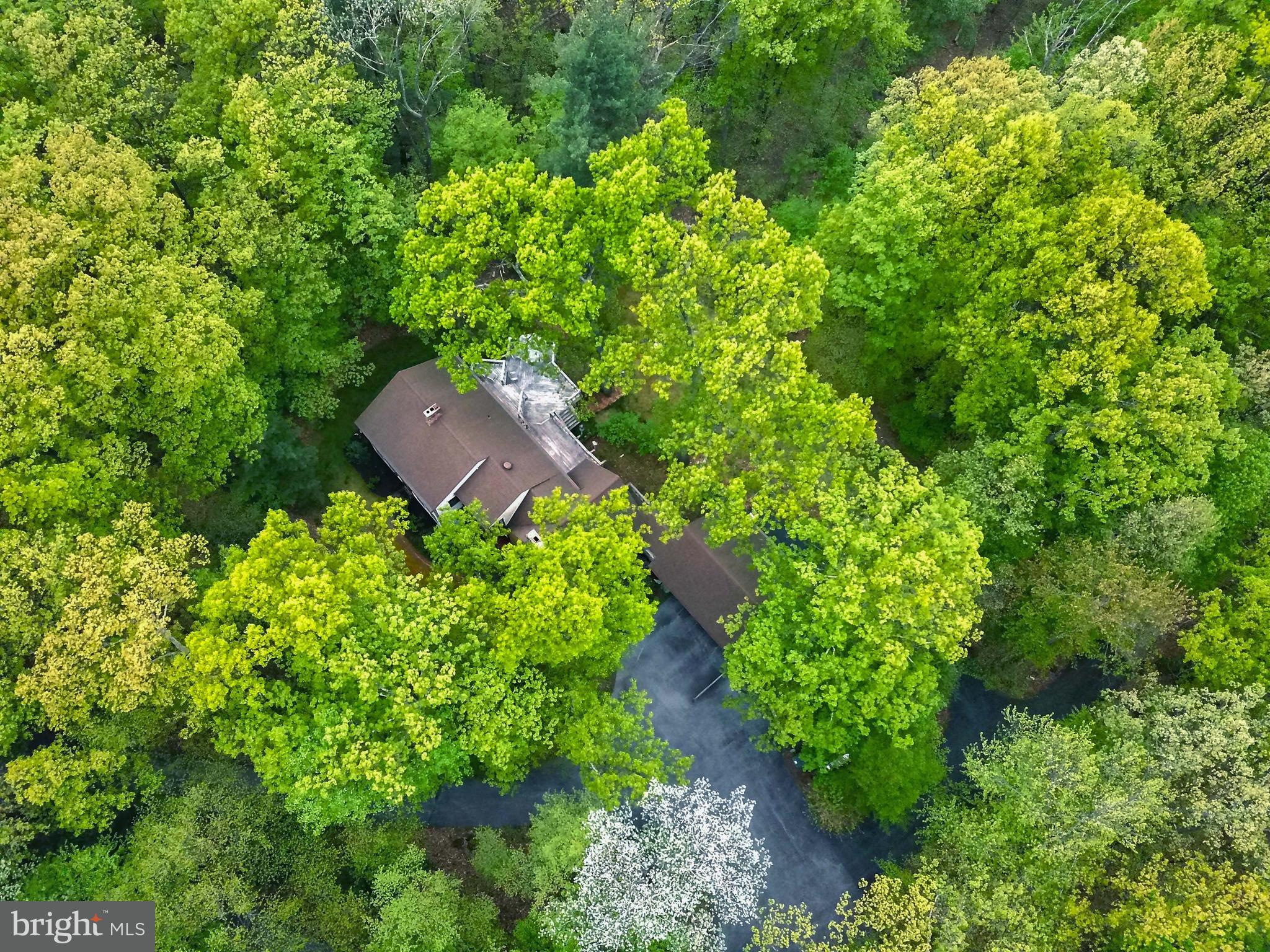 182 Chain Saw Road Dillsburg, PA 17019 - Photo 52 of 54 Gallery Image 52