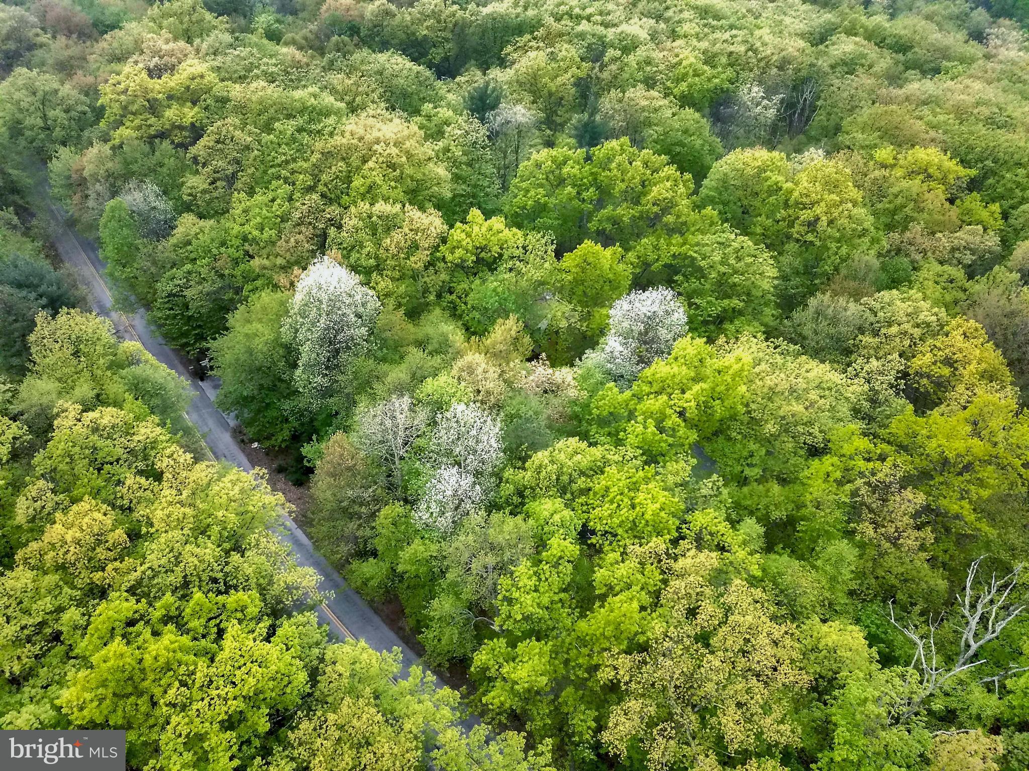 182 Chain Saw Road Dillsburg, PA 17019 - Photo 54 of 54 Gallery Image 54