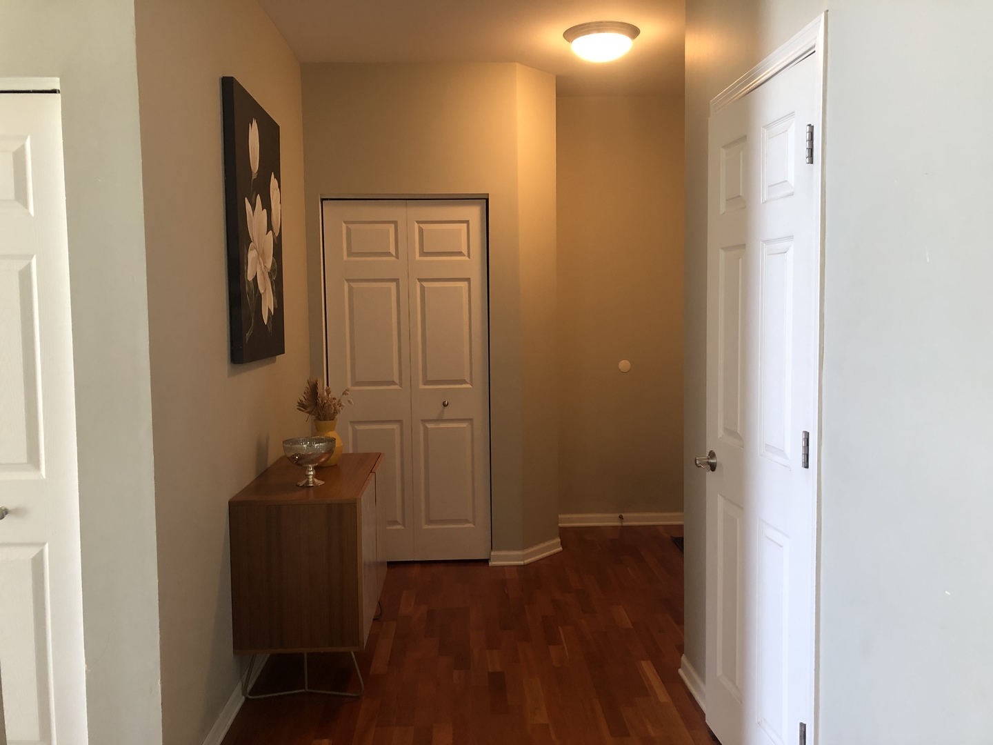 1008 Berry Path Trail, Unit 1122 Matteson, IL 60443 - Photo 3 of 20