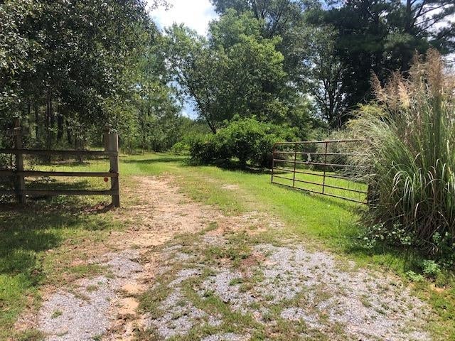 27410 Ealum Mill Road Red Level, AL 36474 - Photo 45 of 50 Gallery Image 45