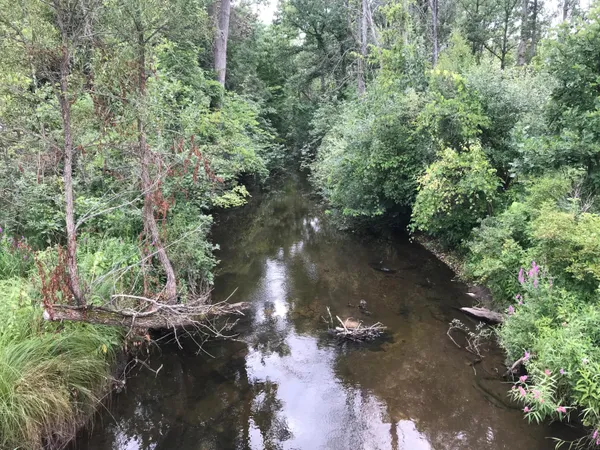 $189,995 | 14551 Algoma Avenue Northeast, Cedar Springs, MI 49319