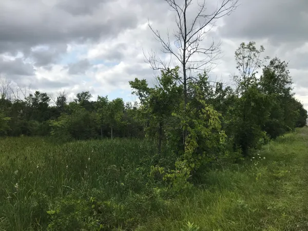 $189,995 | 14551 Algoma Avenue Northeast, Cedar Springs, MI 49319