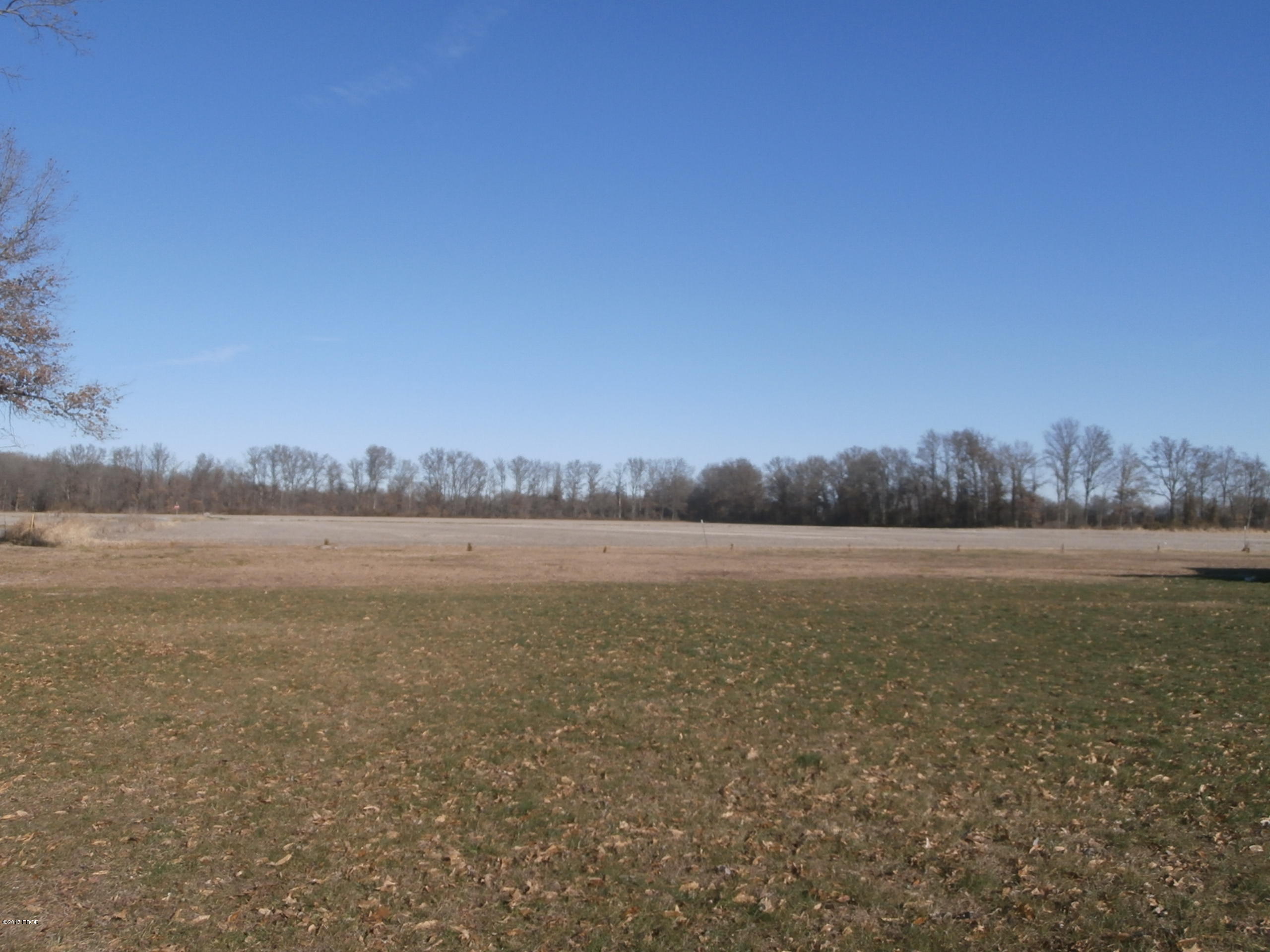 3282 Willow Road Du Quoin, IL 62832 - Photo 5 of 22