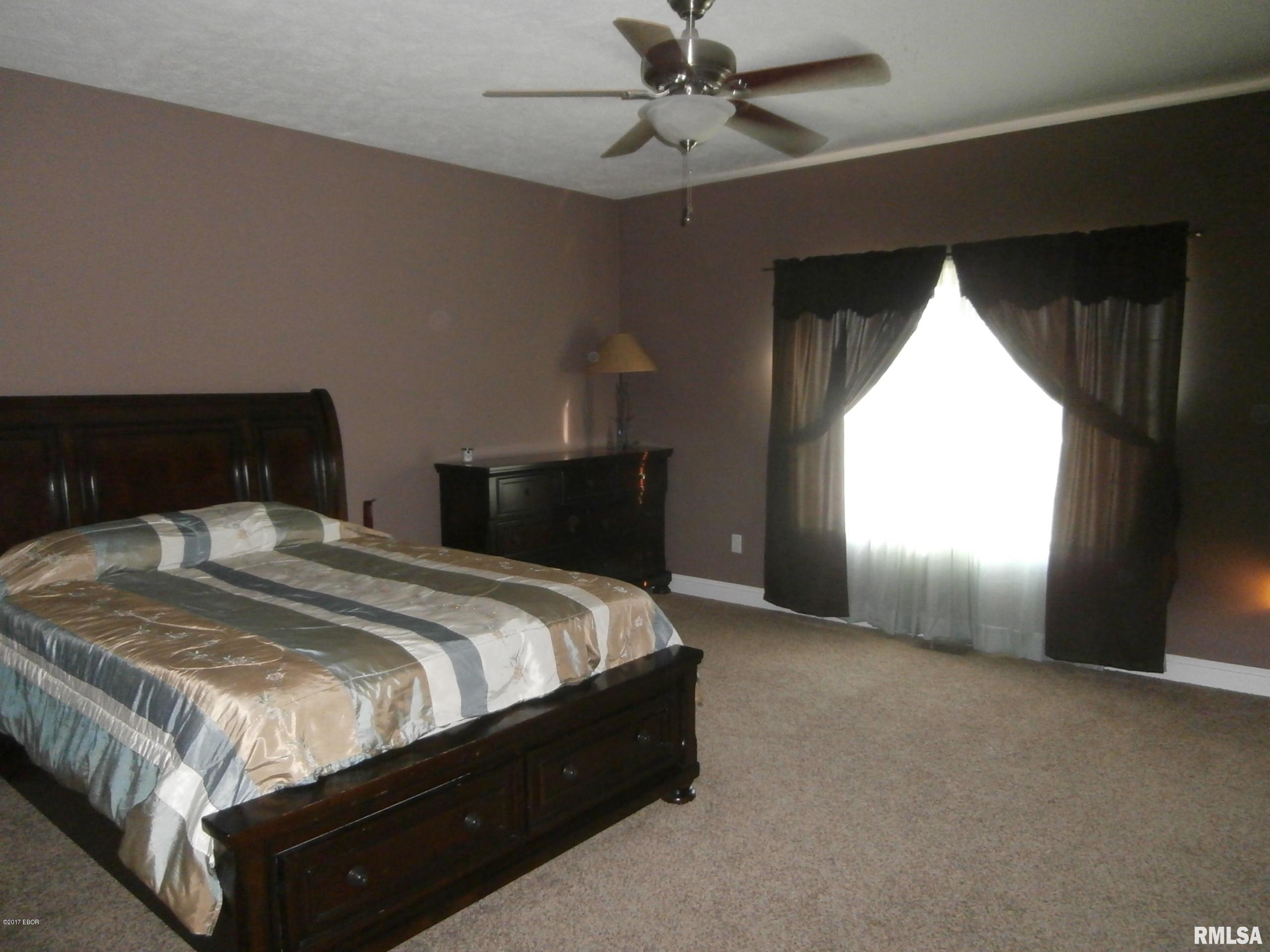 3282 Willow Road Du Quoin, IL 62832 - Photo 8 of 22