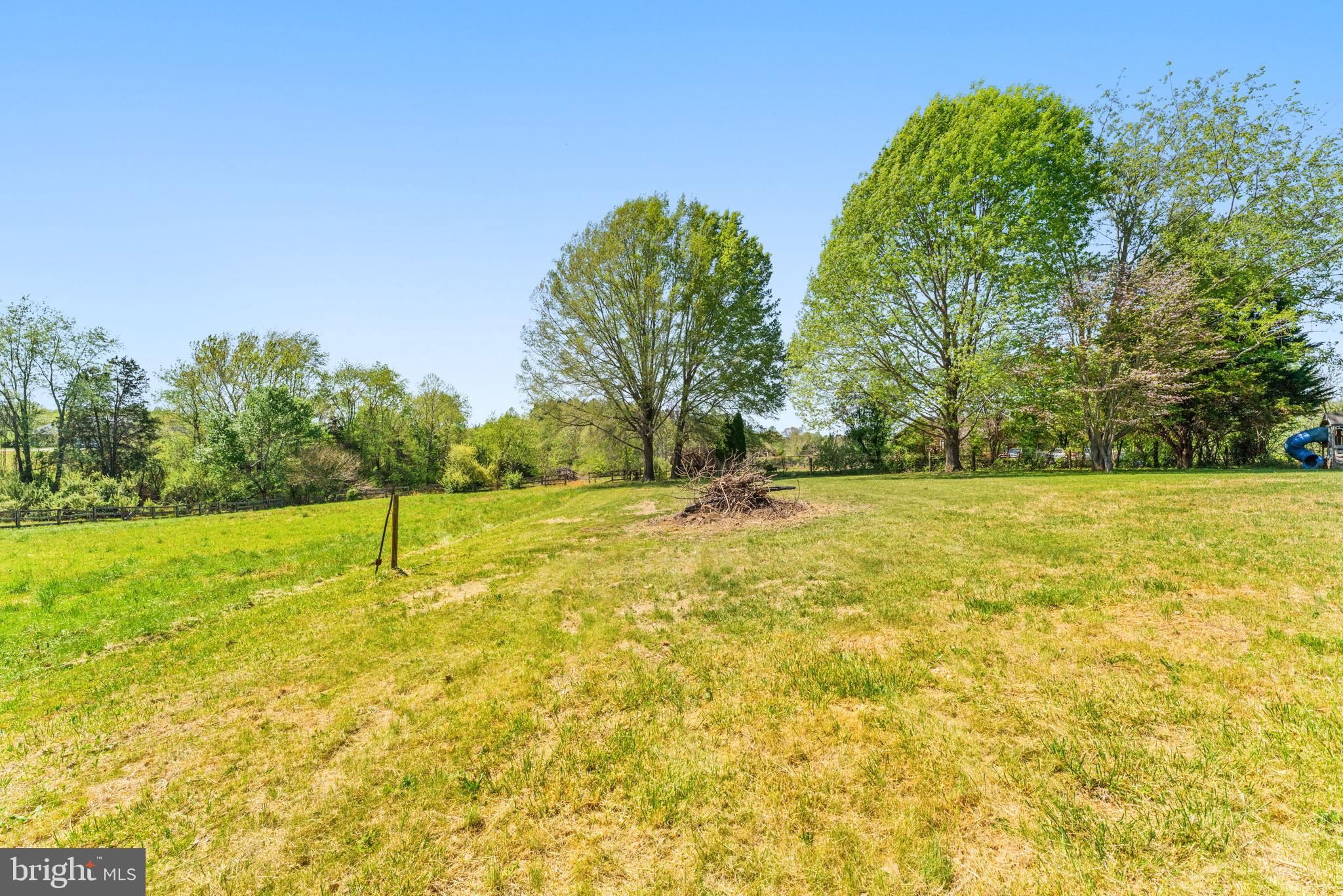 11270 Old Stillhouse Road Boston, VA 22713 - Photo 33 of 38 Spacious green retreat with lush trees.