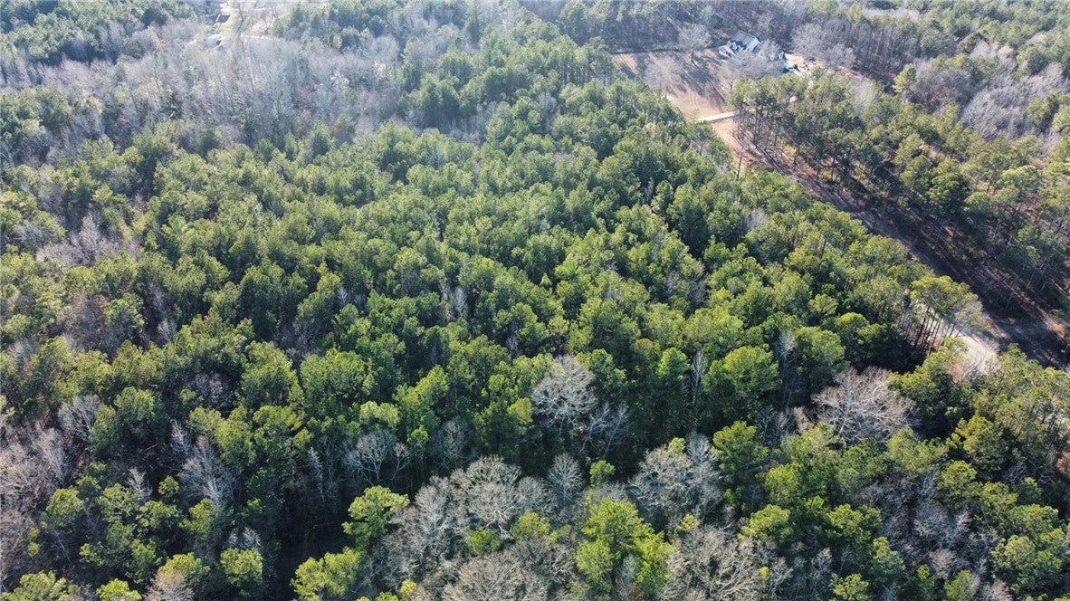5493 Judge Brown Road Valley, AL 36854 - Photo 2 of 8 Gallery Image 2