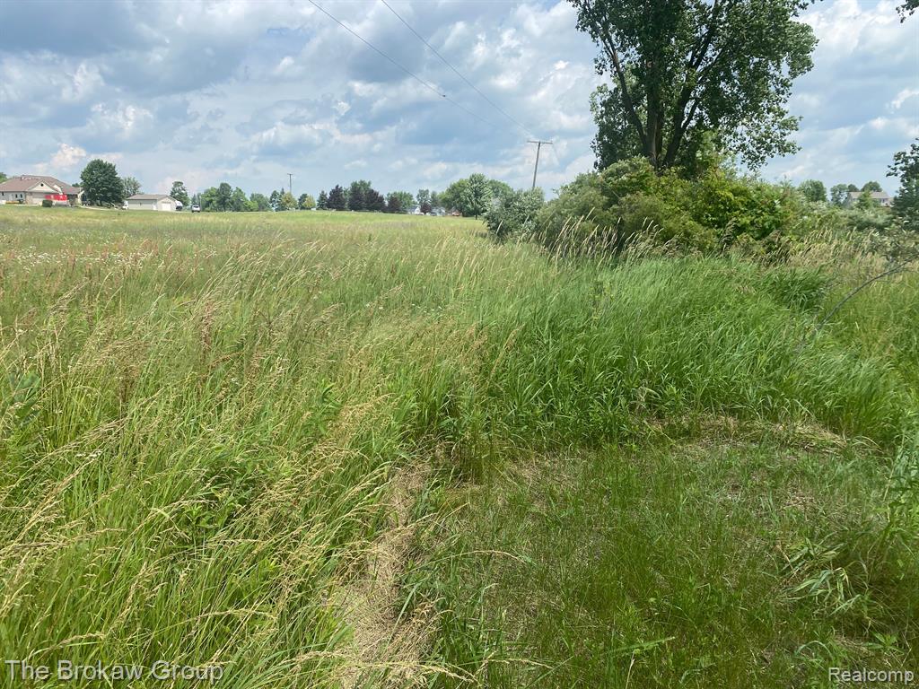 0 Shutt Road Capac, MI 48014 - Photo 3 of 5
