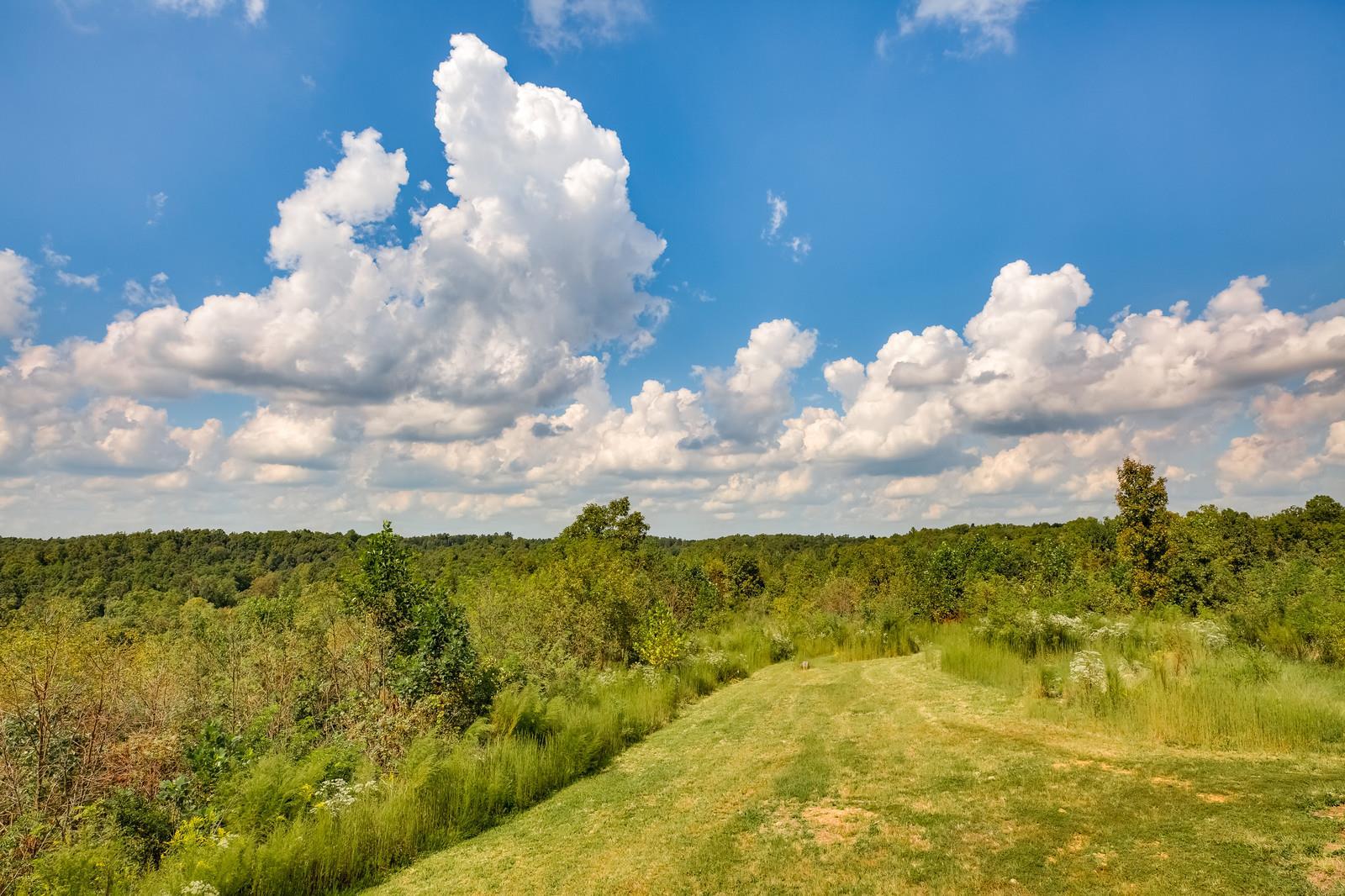 446 Overhead Bridge Road Hampshire, TN 38461 - Photo 6 of 30 Gallery Image 6