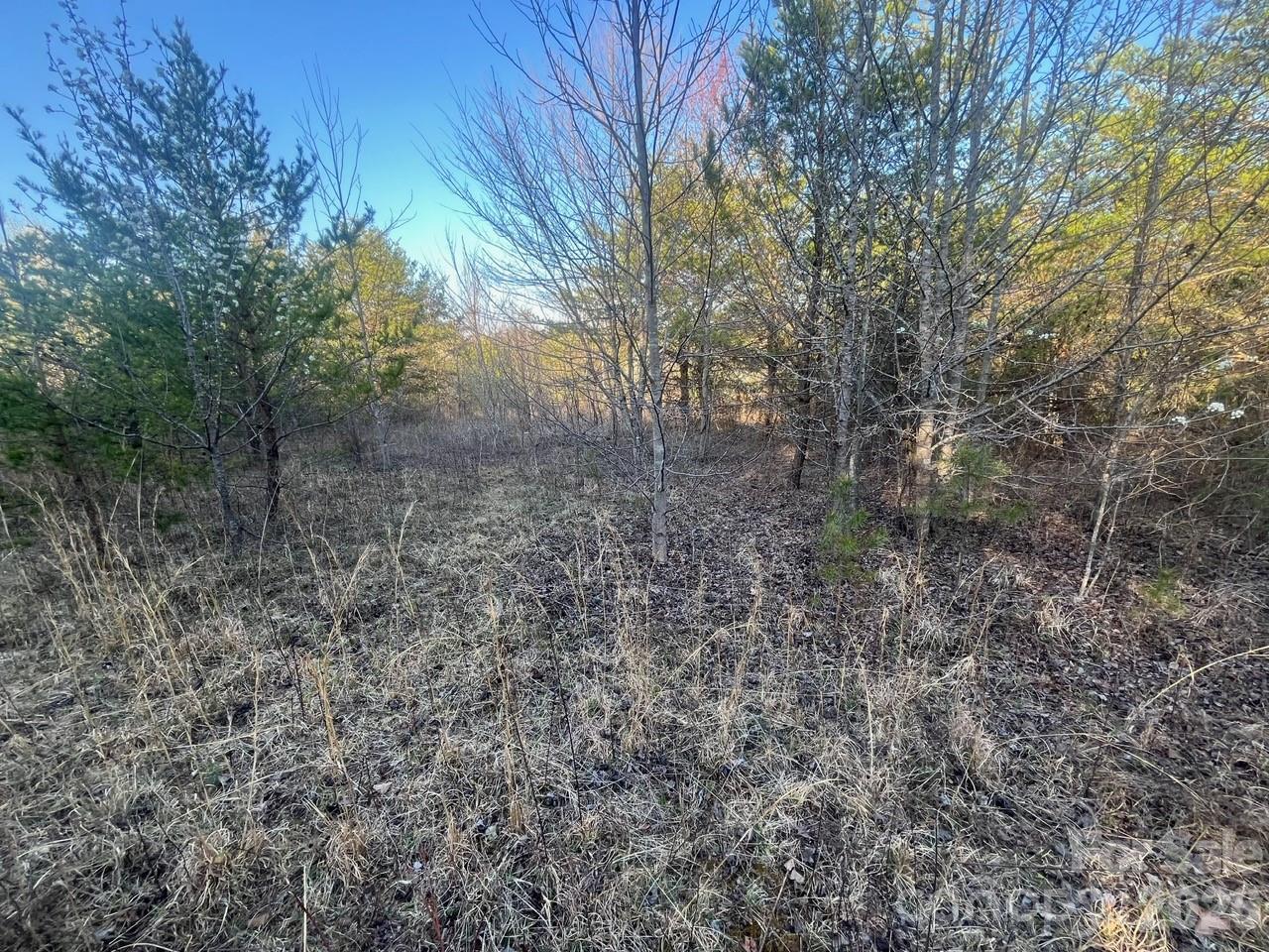 Tbd Southern Way Nebo, NC 28761 - Photo 11 of 22