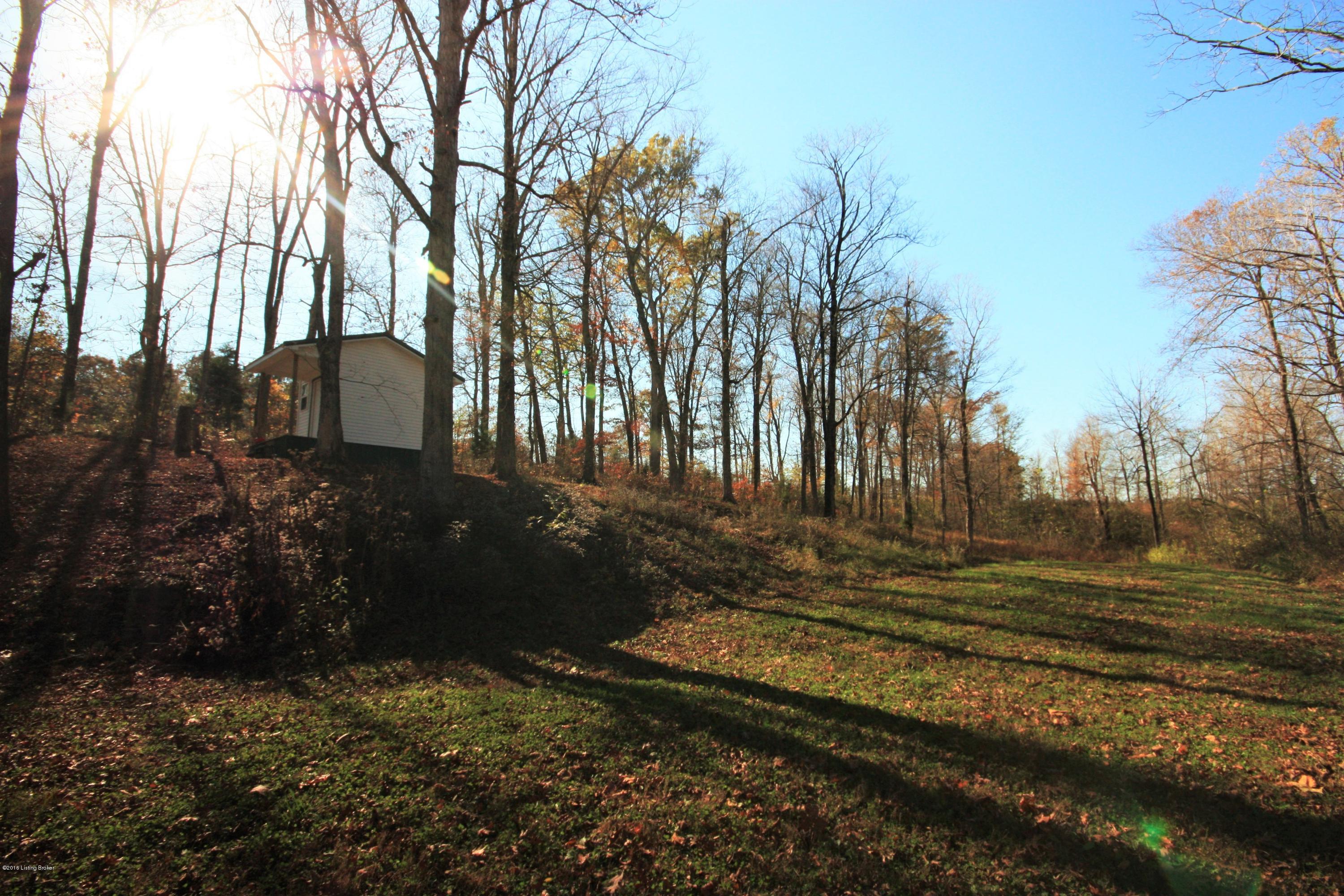 1607 Falls Of Rough Road Caneyville, KY 42721 - Photo 10 of 30 Image00047