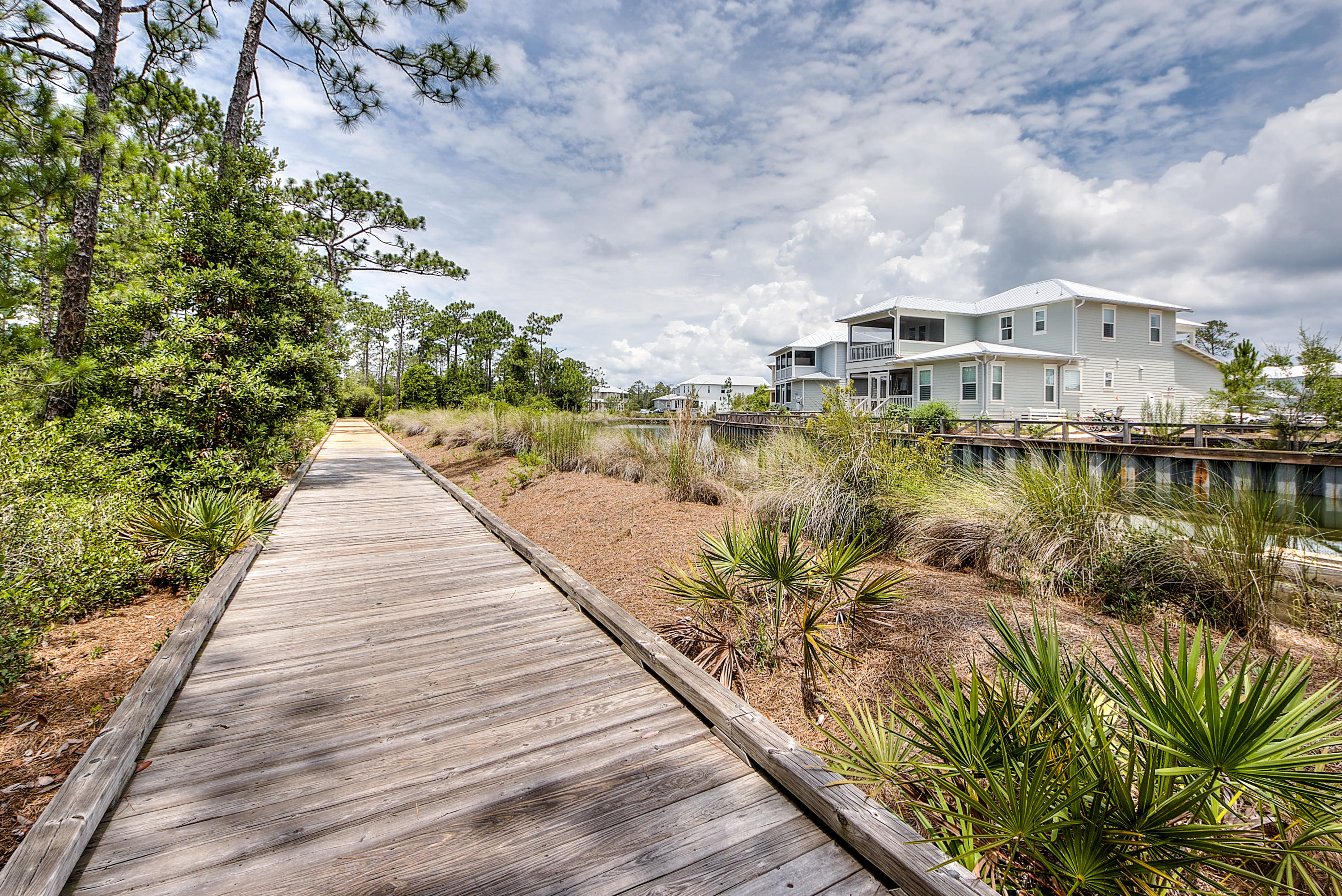 438 Flatwoods Forest Loop Santa Rosa Beach, FL 32459 - Photo 26 of 34 Gallery Image 26