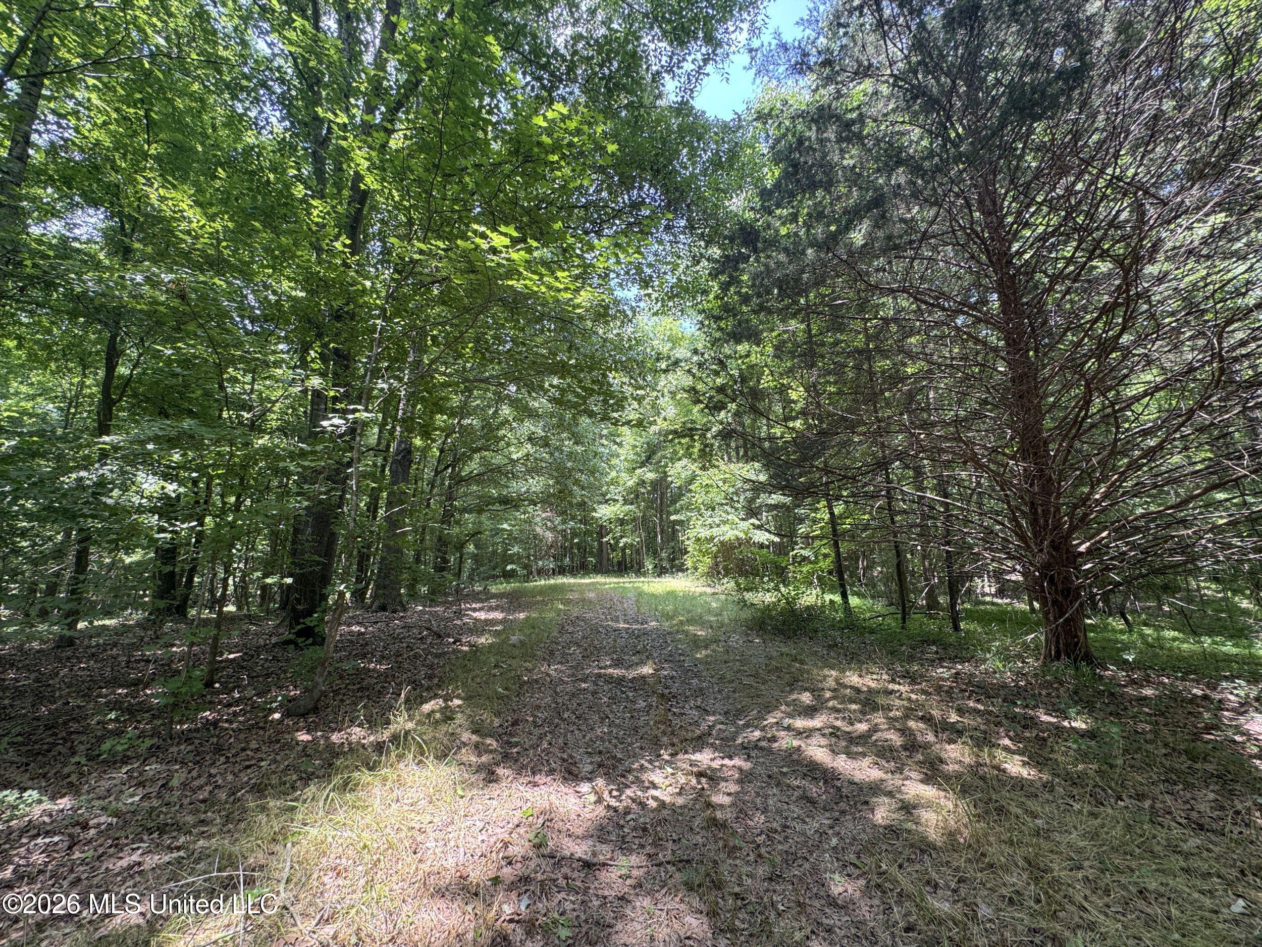 884 Avant Road Crenshaw, MS 38621 - Photo 120 of 154 6dbyicr64