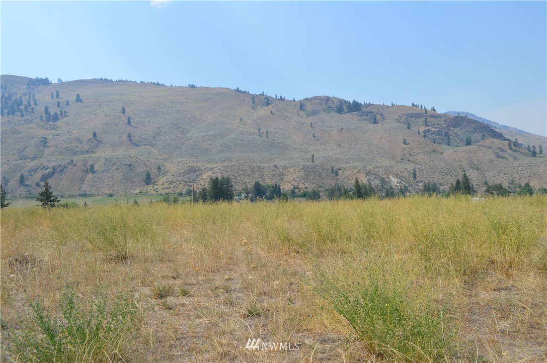 1 Ross Road Twisp, WA 98856 - Photo 11 of 18 Gallery Image 11