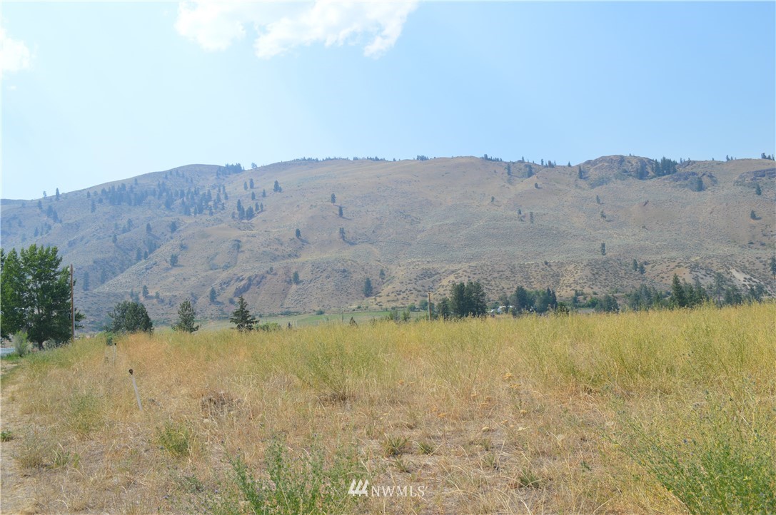 1 Ross Road Twisp, WA 98856 - Photo 12 of 18 Gallery Image 12