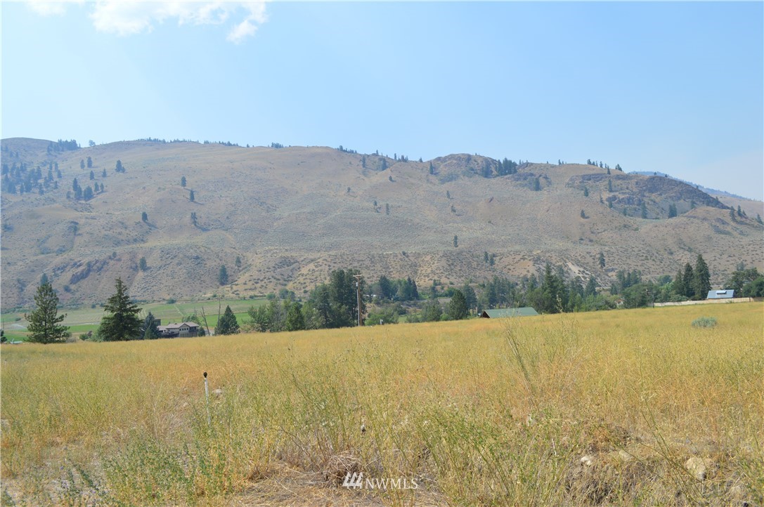 1 Ross Road Twisp, WA 98856 - Photo 14 of 18 Gallery Image 14