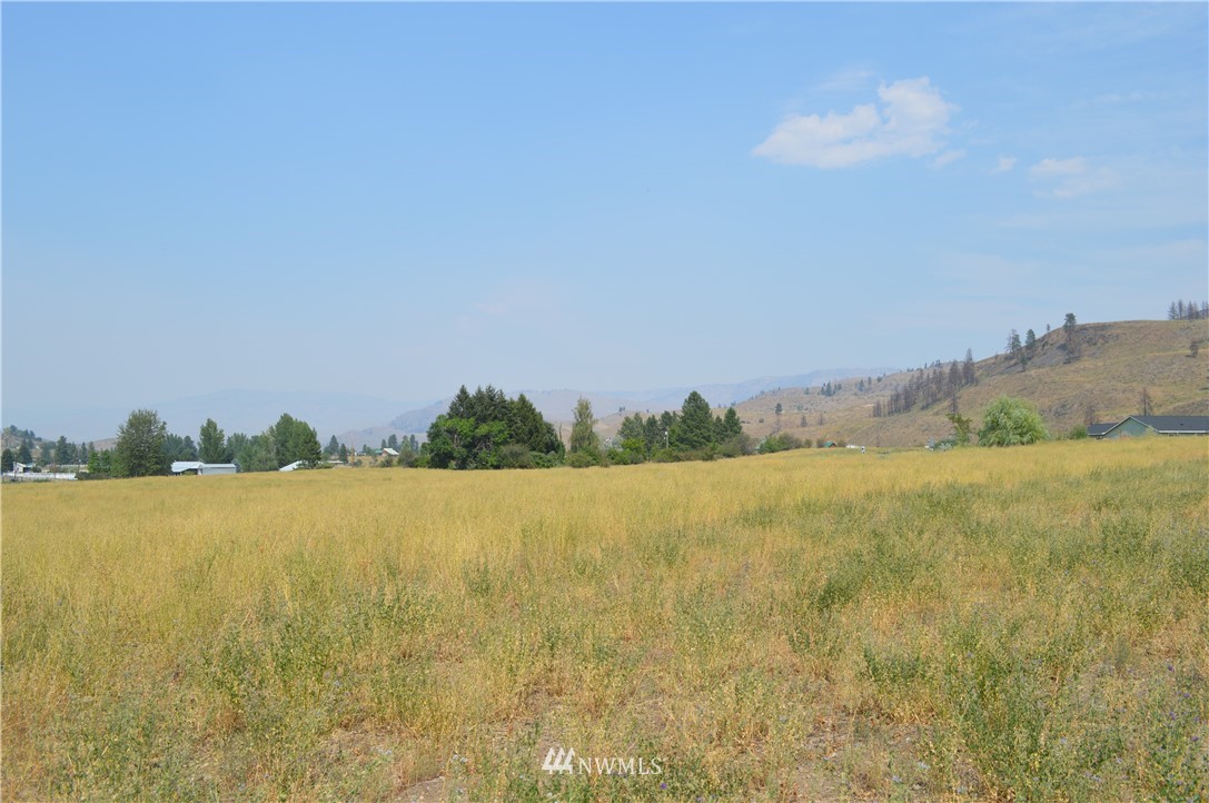 1 Ross Road Twisp, WA 98856 - Photo 16 of 18 Gallery Image 16