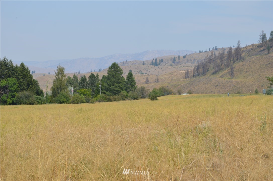 1 Ross Road Twisp, WA 98856 - Photo 18 of 18 Gallery Image 18