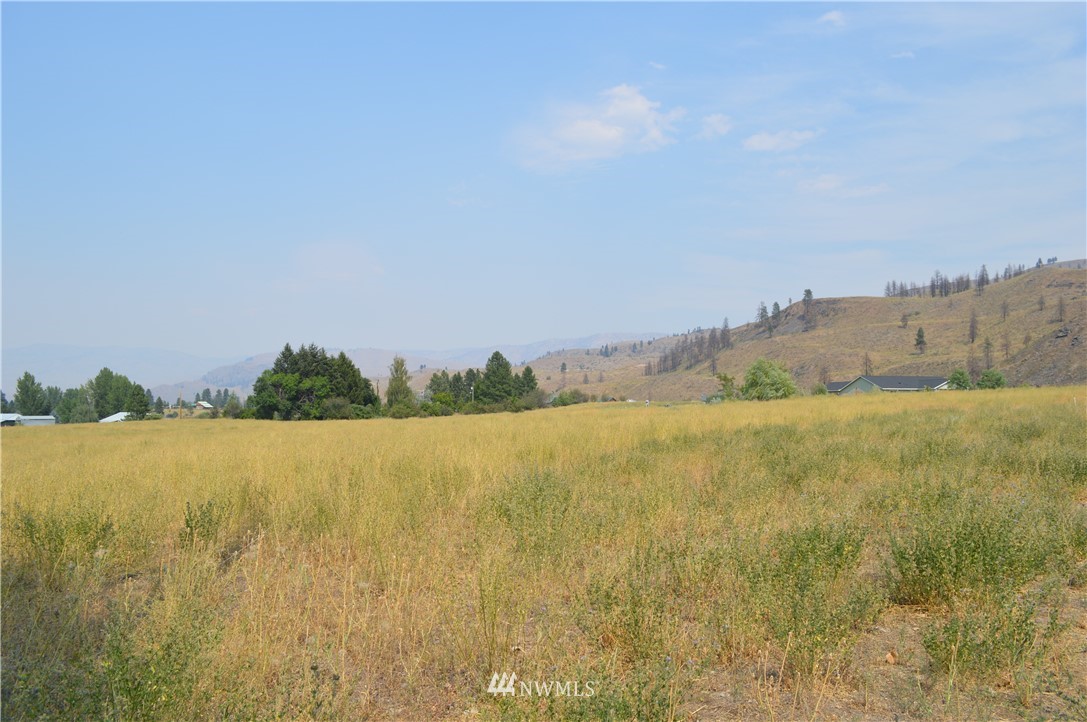 1 Ross Road Twisp, WA 98856 - Photo 10 of 18 Gallery Image 10