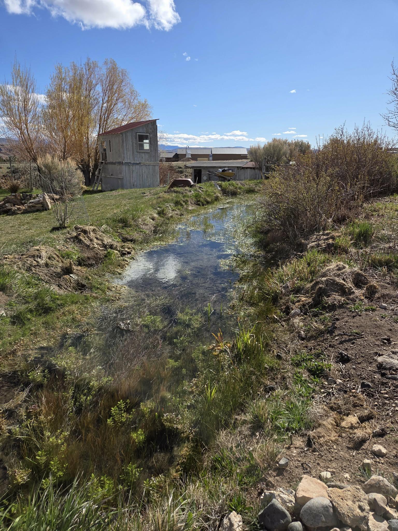 183 Bald Mountain Road Dubois, WY 82513 - Photo 4 of 48