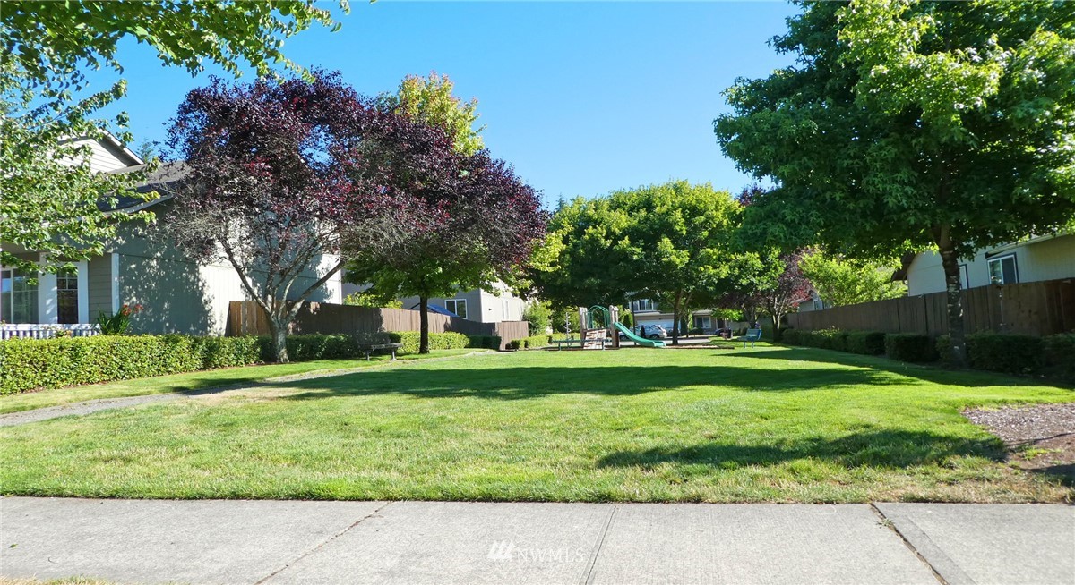 2513 Hidden Springs Loop Southeast Lacey, WA 98503 - Photo 38 of 40 a picture of a yard with plants and trees