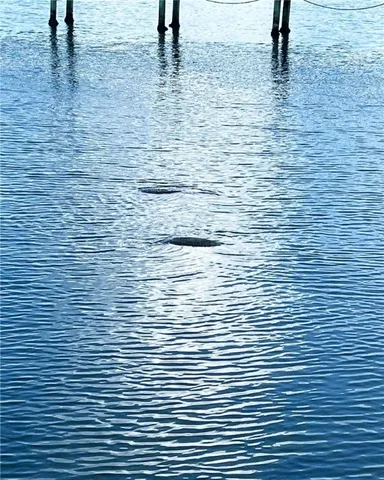 $2,995,000 | 11450 South Indian River Drive, Sebastian, FL 32958