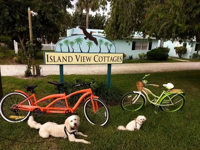 $2,995,000 | 11450 South Indian River Drive, Sebastian, FL 32958