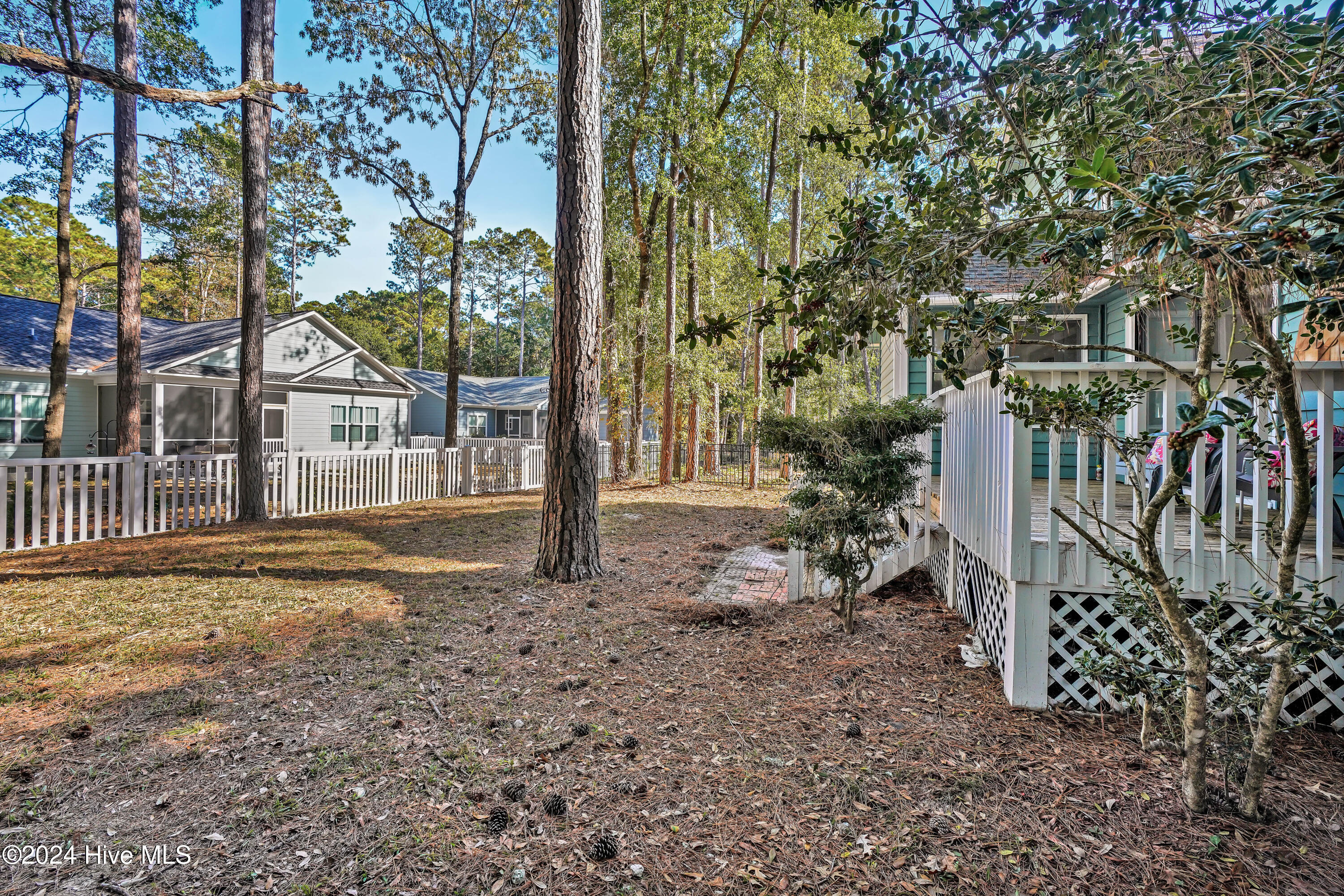 598 Folly Drive Bolivia, NC 28422 - Photo 30 of 72 Backyard