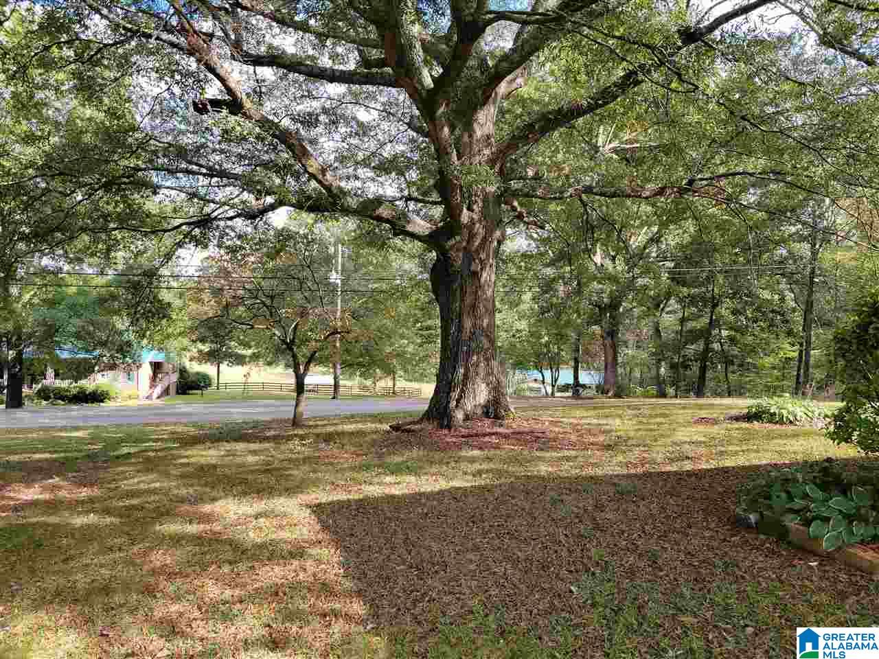 7170 Cavern Road Trussville, AL 35173 - Photo 6 of 34