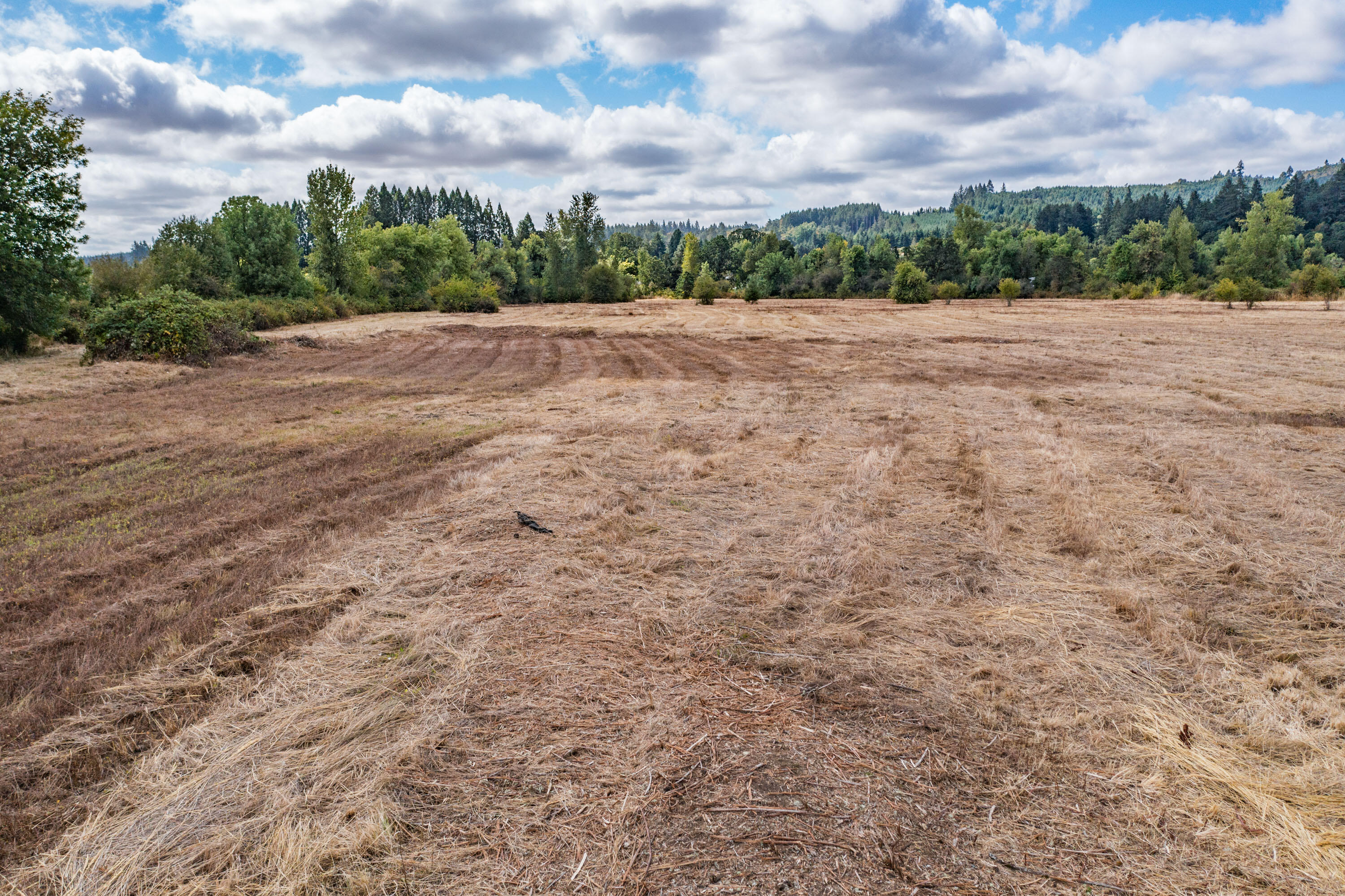 12495 Clow Corner Road Dallas, OR 97338 - Photo 41 of 50 a view of an outdoor space and beach