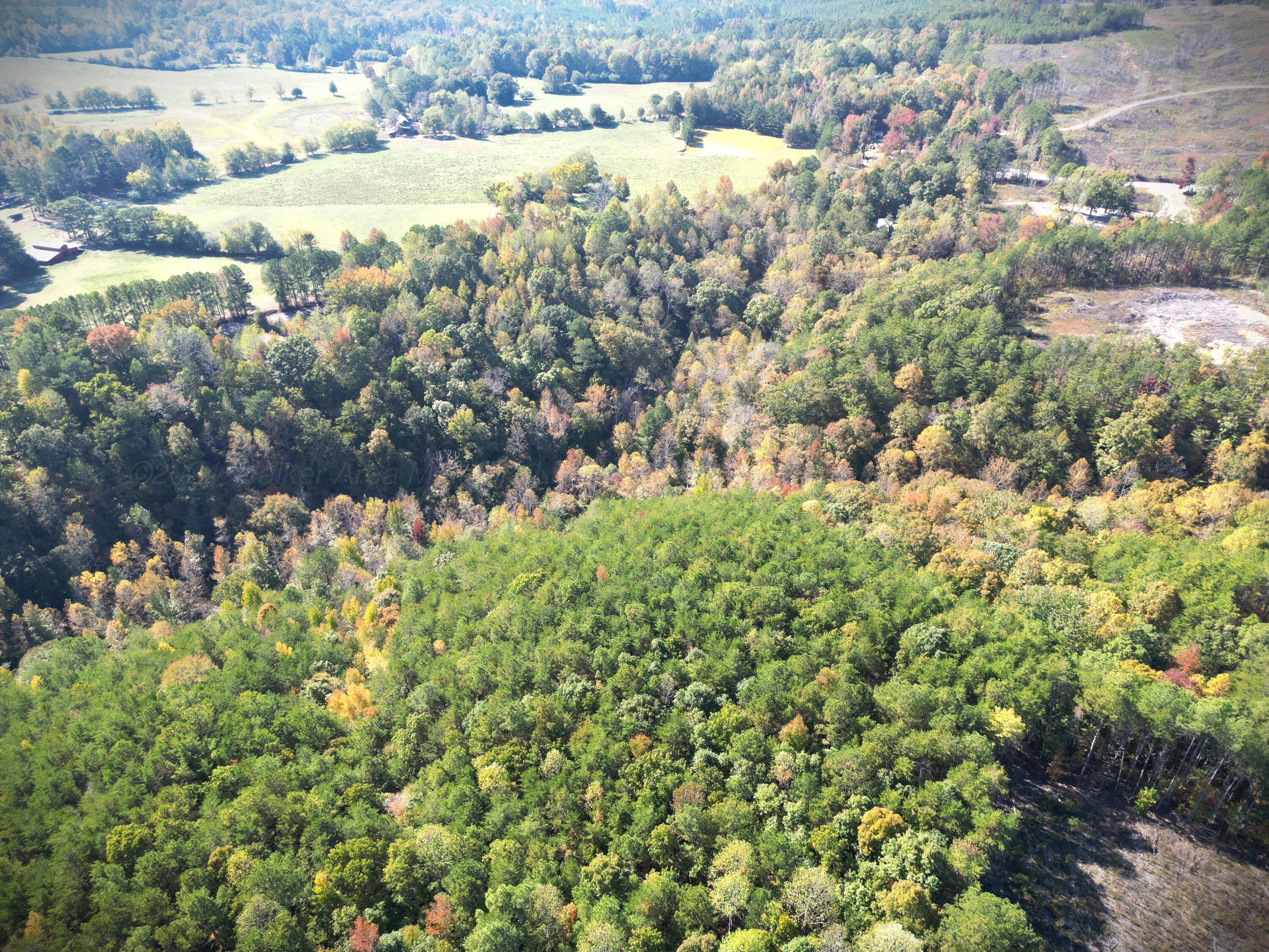 Franklin Road Oakman, AL 35579 - Photo 2 of 9 Gallery Image 2