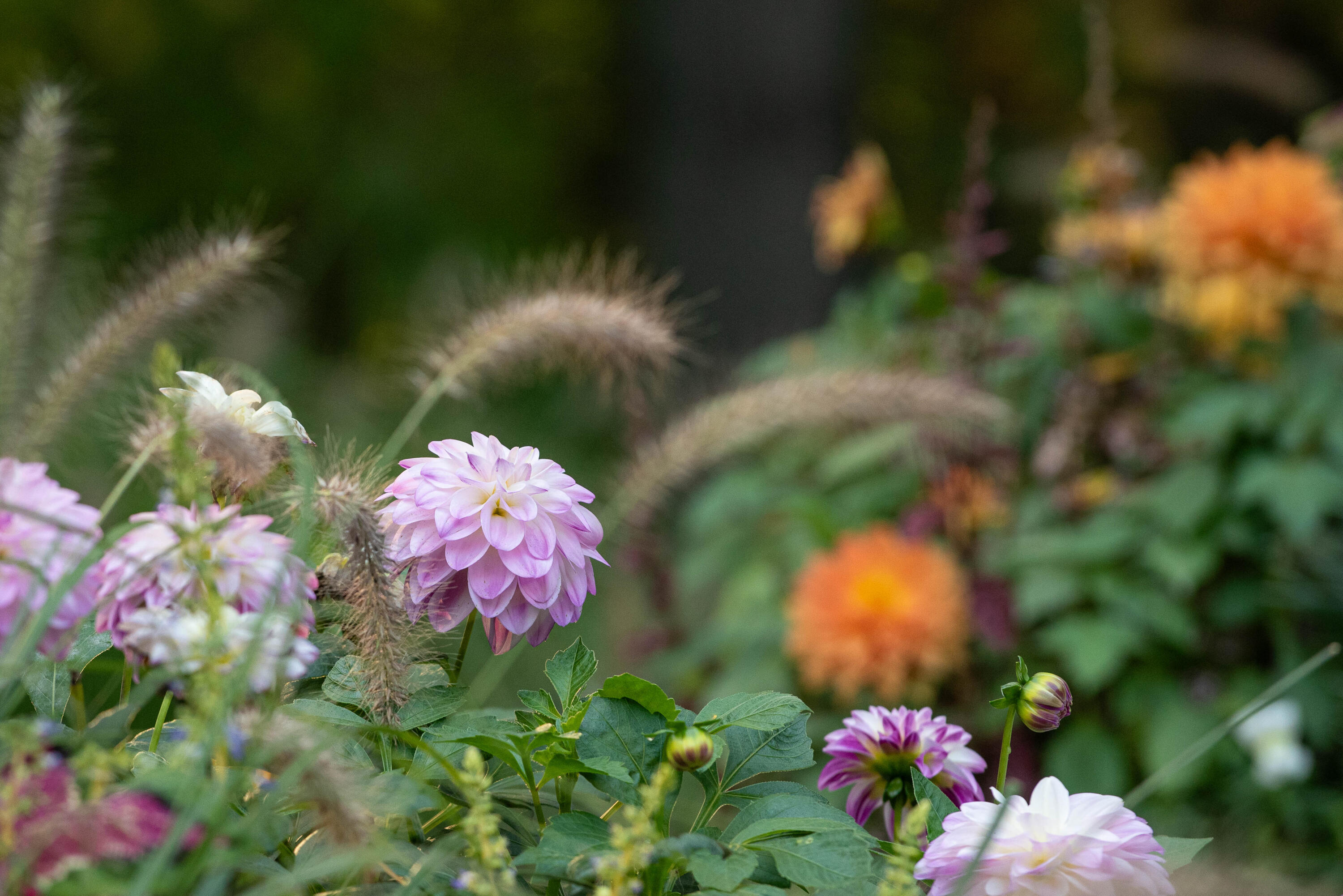 353 Riders Trail Northeast Ada, MI 49301 - Photo 103 of 107 Exterior-1070