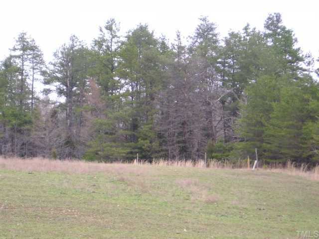 Lot 2 Roxboro Lake Road, Unit 2 Leasburg, NC 27291 - Photo 3 of 4
