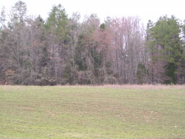 Lot 2 Roxboro Lake Road, Unit 2 Leasburg, NC 27291 - Photo 4 of 4 a view of a lake view