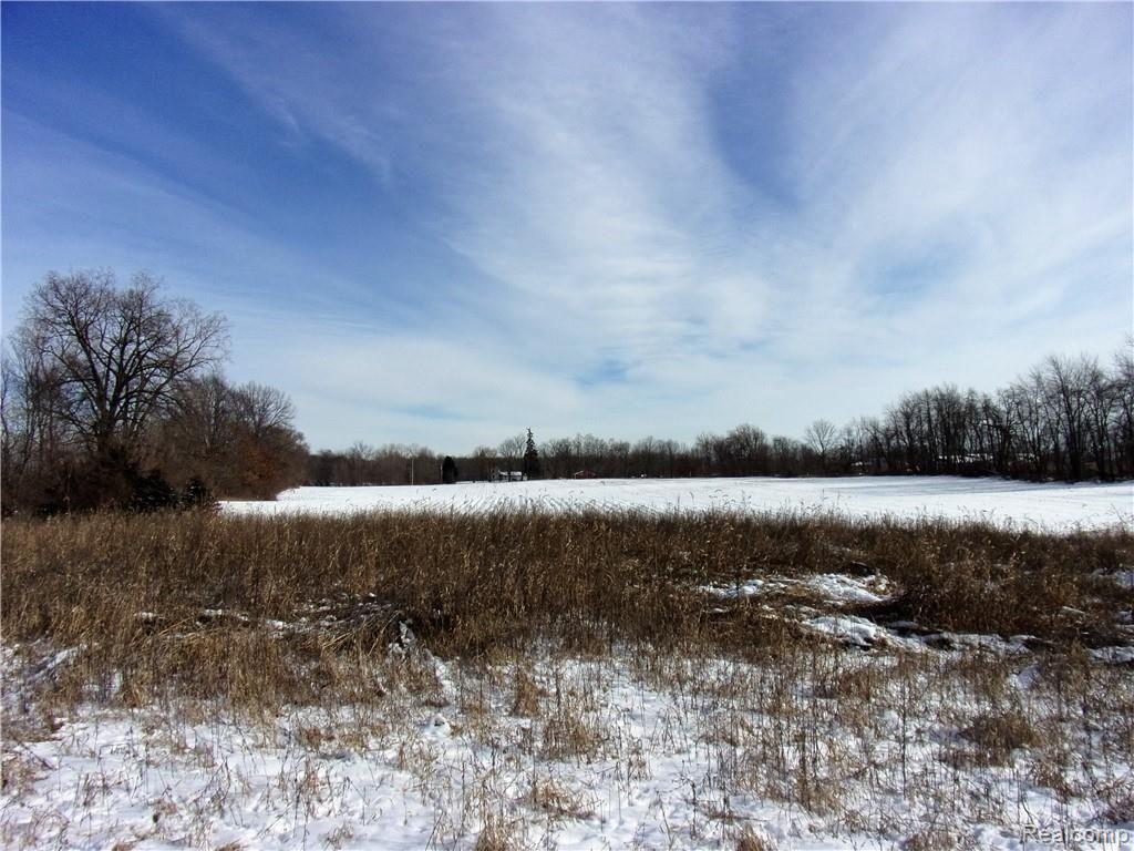 0 East Braden Road Perry, MI 48872 - Photo 5 of 8