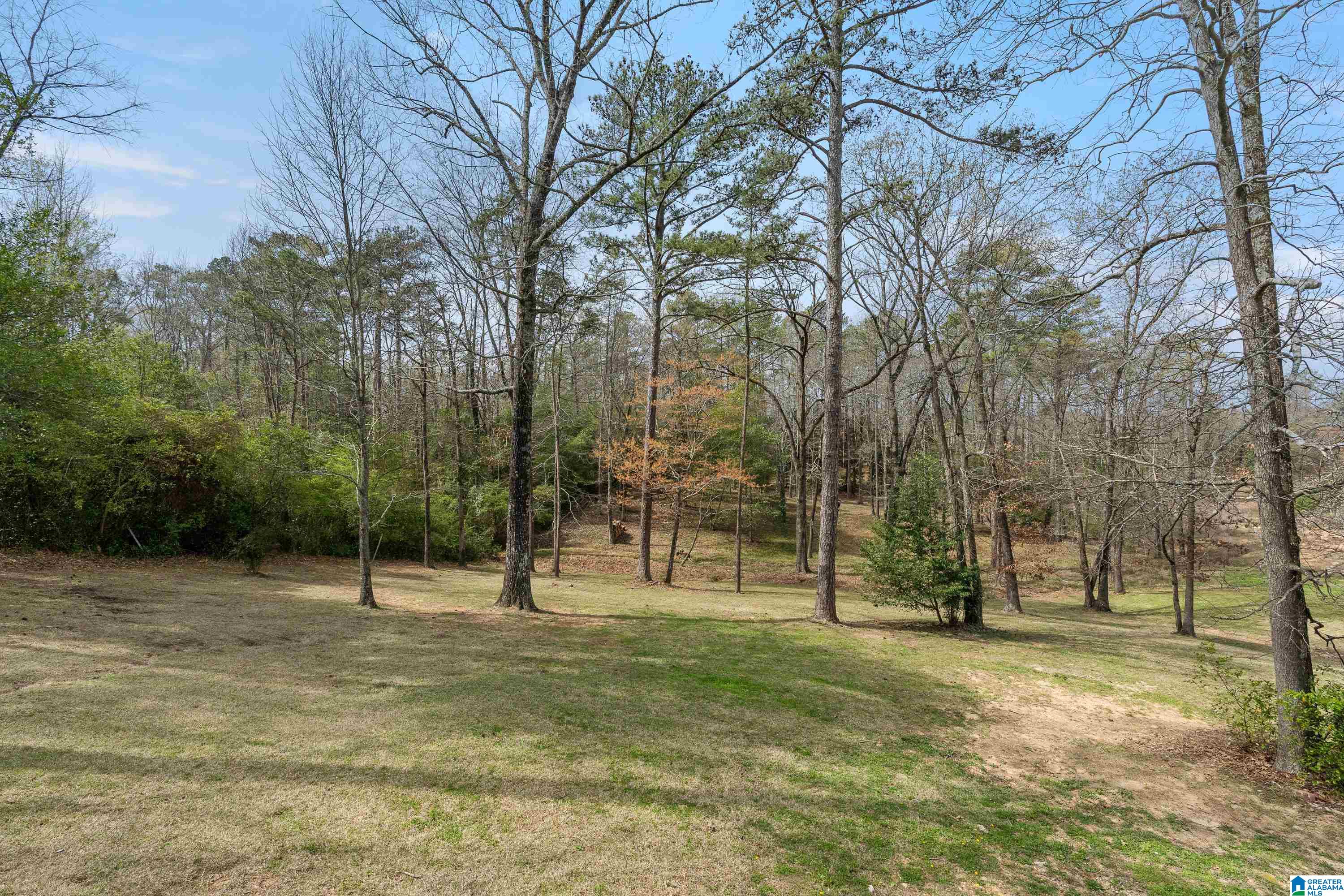 4444 Cahaba River Road Birmingham, AL 35243 - Photo 74 of 87