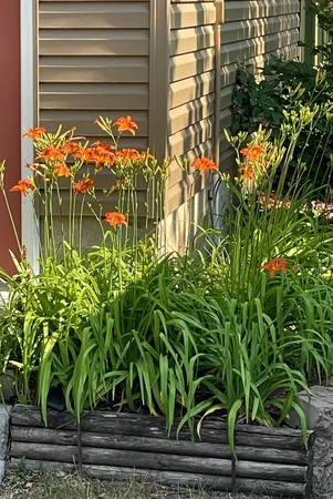 $245,000 | 16352 Irvine Avenue Northwest, Clearwater, MN 55320