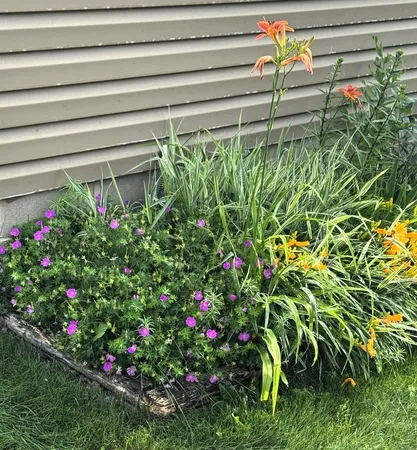 $245,000 | 16352 Irvine Avenue Northwest, Clearwater, MN 55320